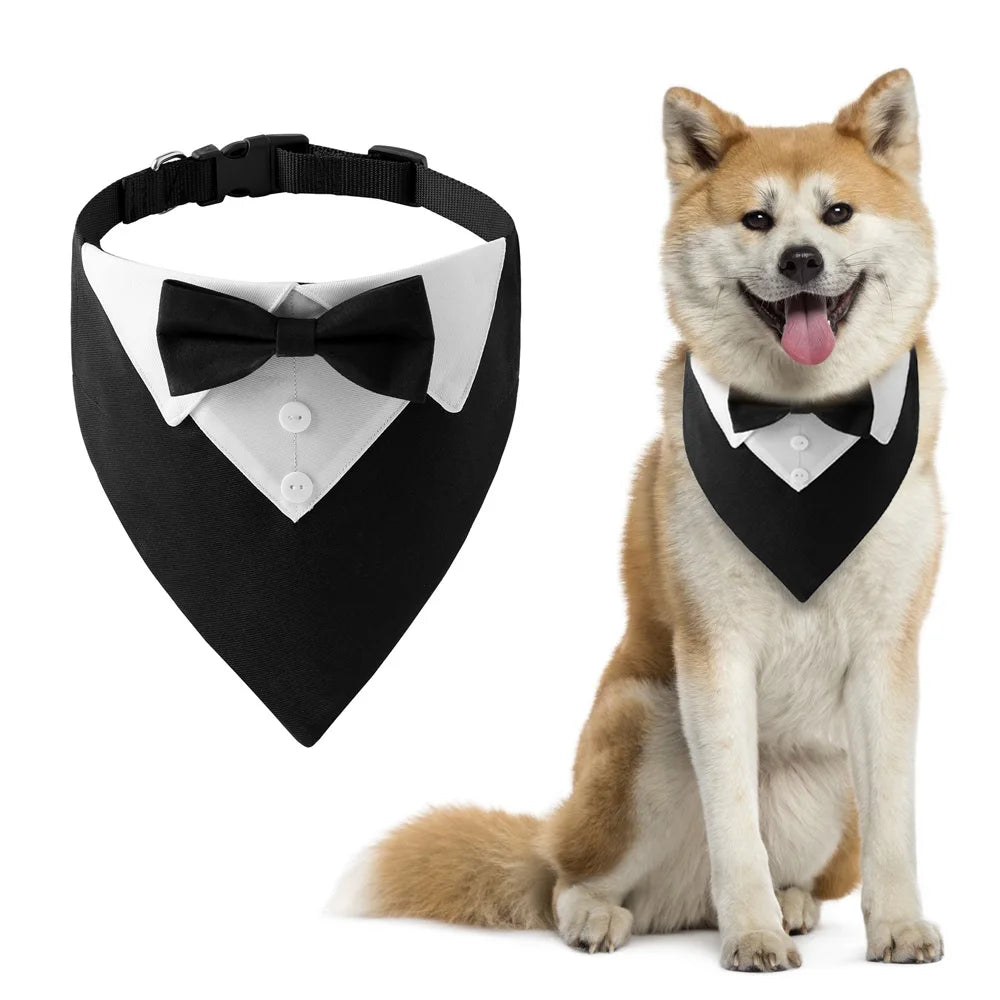 Bow tie dog tuxedo collar for wedding – small to large sizes