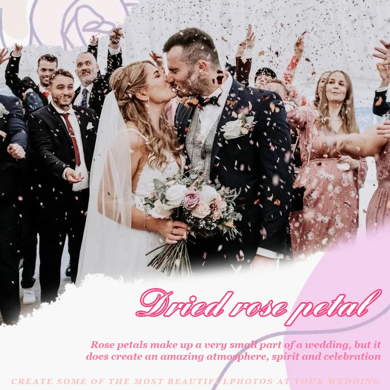 10 Packs Biodegradable Wedding Confetti