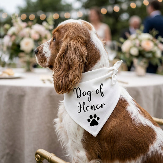 Dog wearing a 'Dog of Honor' bandana at an outdoor event with blurred people and flowers in the background.