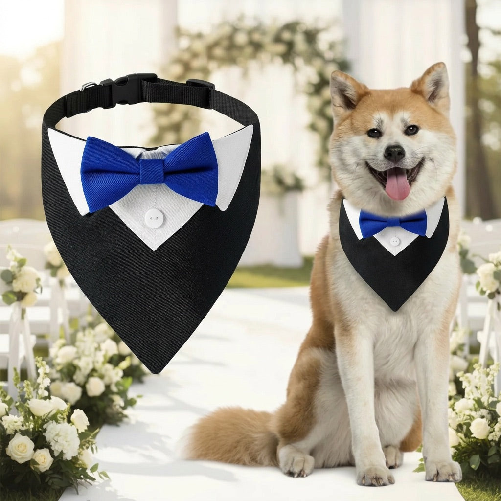 Dog wearing a black bow tie with a blue bow and white shirt, sitting outdoors with flowers and a white bench in the background.