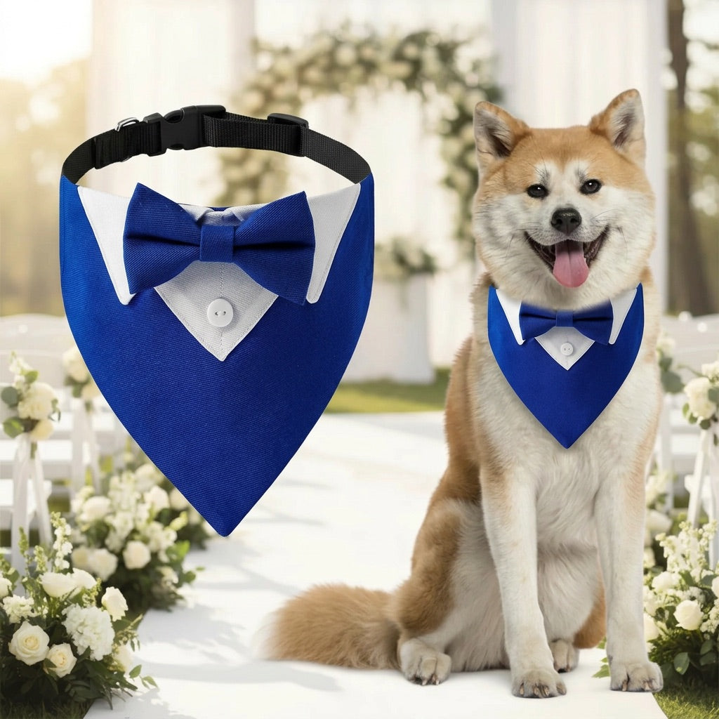 Dog wearing a blue bow tie and matching bandana with a blurred floral and white structure background.