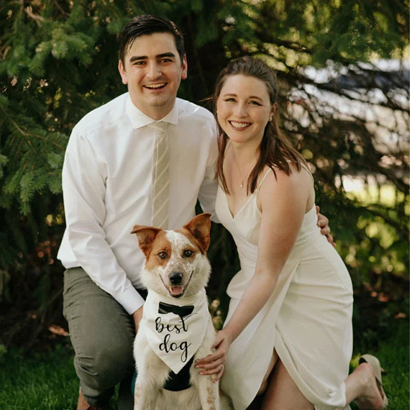 Dog wearing white bandana for dog, says "Dog of honour" on it. Together with a happy couple