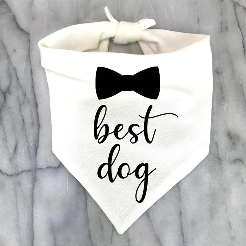 White bandana for dog that says "Best dog" on it
