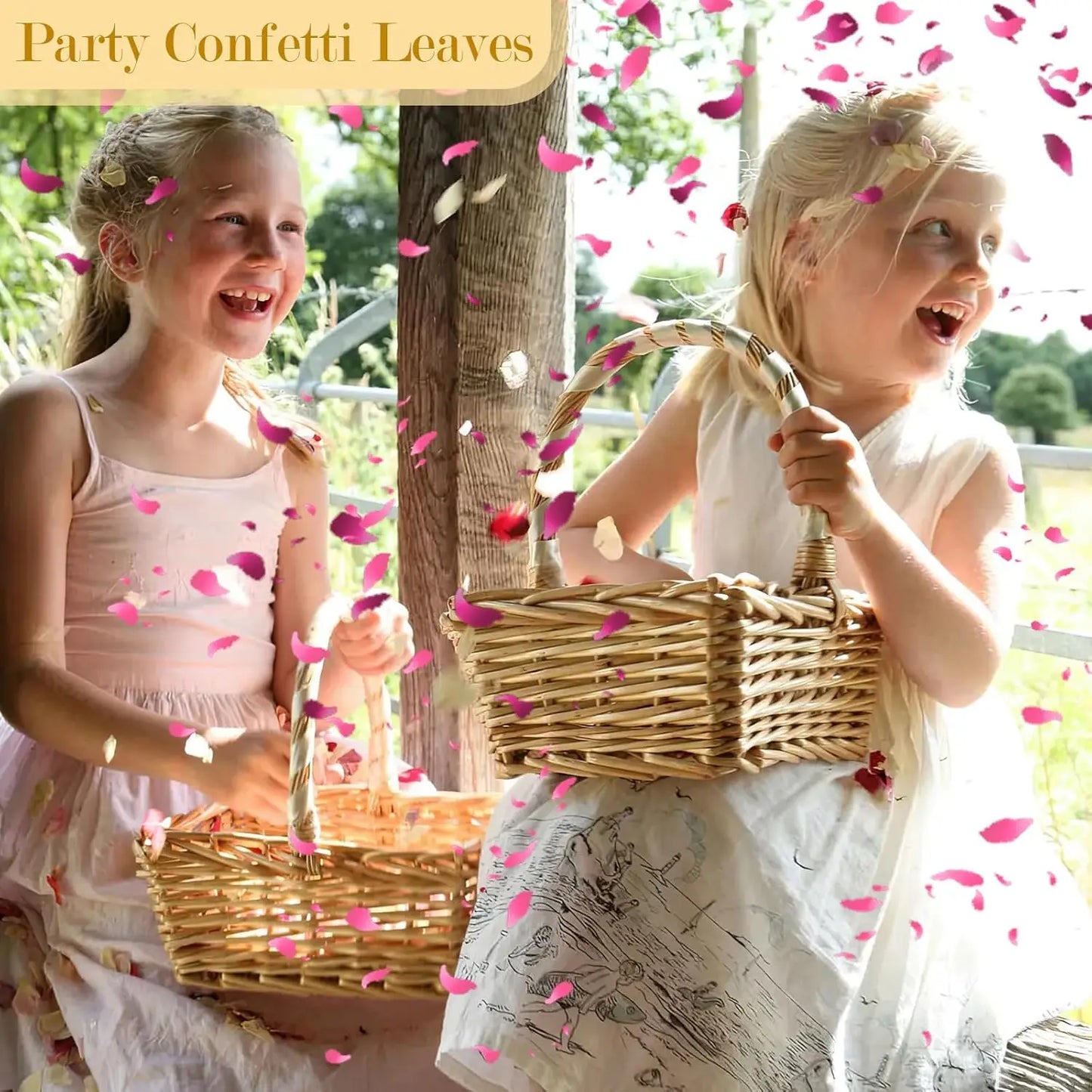 Biodegradable Natural Flower Petal Confetti